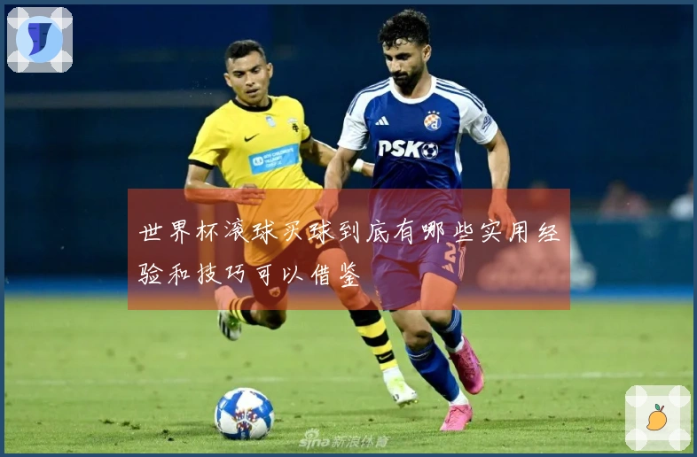 世界杯滚球买球到底有哪些实用经验和技巧可以借鉴