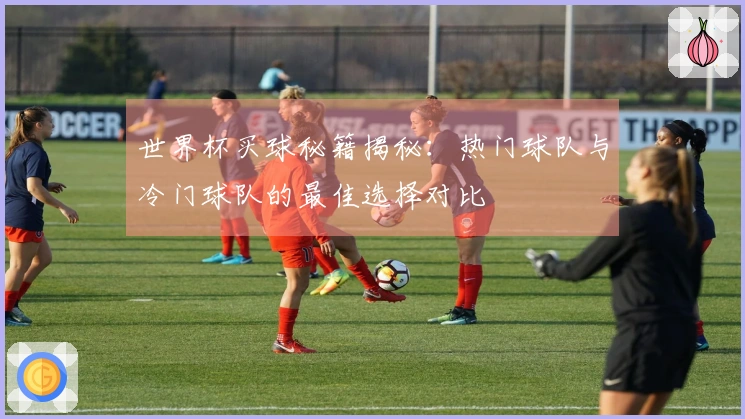 世界杯买球秘籍揭秘：热门球队与冷门球队的最佳选择对比