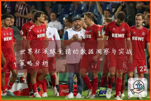 世界杯滚球竞猜的数据洞察与实战策略分析