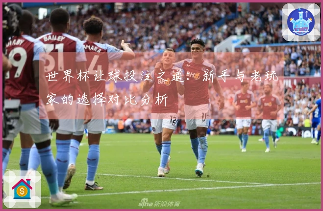 世界杯让球投注之道：新手与老玩家的选择对比分析