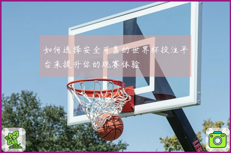 如何选择安全可靠的世界杯投注平台来提升你的观赛体验