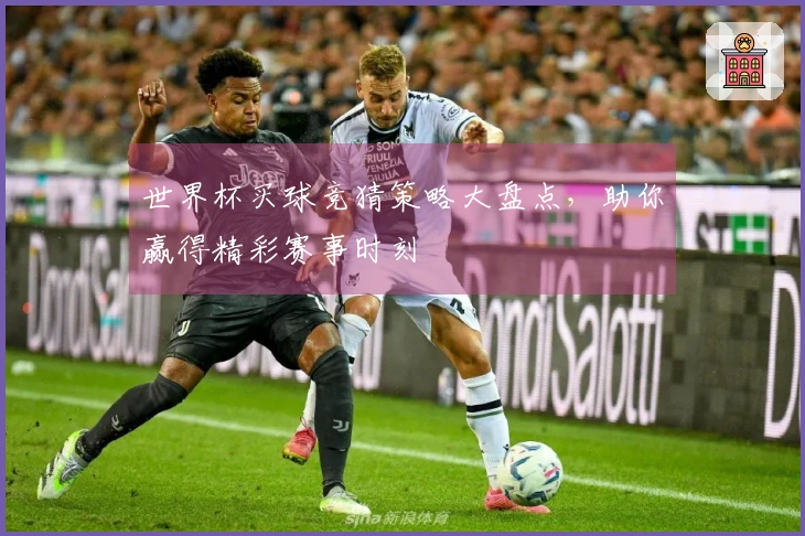 世界杯买球竞猜策略大盘点，助你赢得精彩赛事时刻