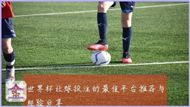 世界杯让球投注的最佳平台推荐与经验分享
