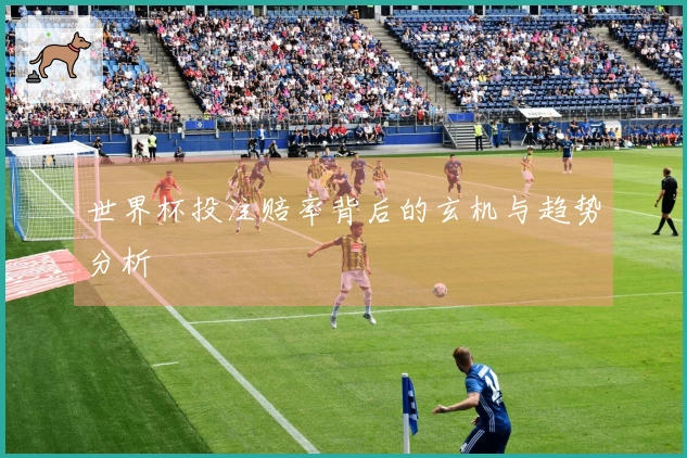 世界杯投注赔率背后的玄机与趋势分析