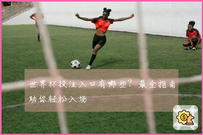 世界杯投注入口有哪些？最全指南助你轻松入场