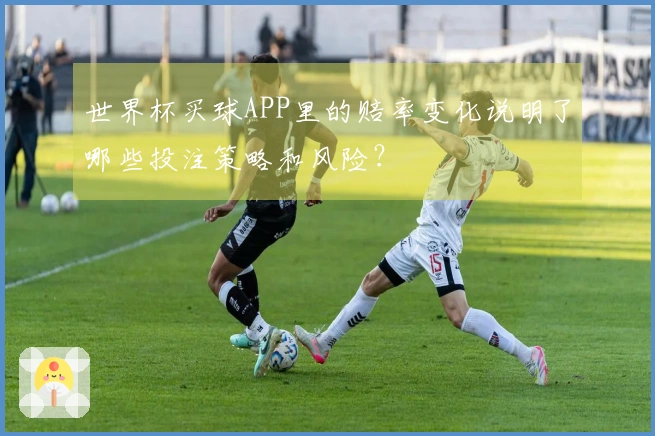 世界杯买球APP里的赔率变化说明了哪些投注策略和风险？
