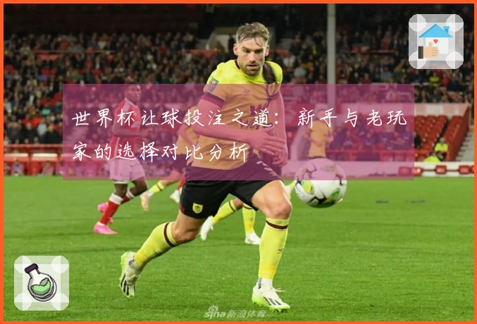 世界杯让球投注之道:新手与老玩家的选择对比分析