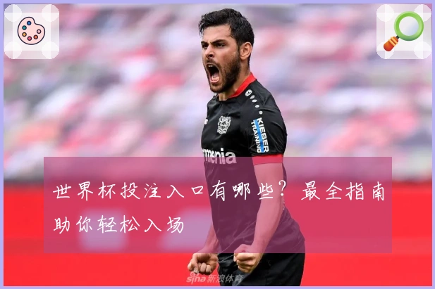 世界杯投注入口有哪些？最全指南助你轻松入场
